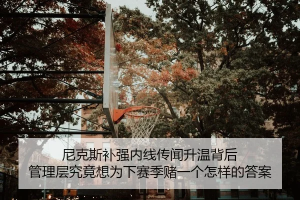 尼克斯补强内线传闻升温背后 管理层究竟想为下赛季赌一个怎样的答案